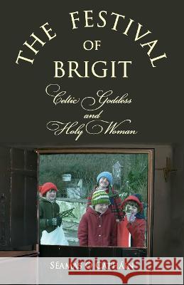 The Festival of Brigit S?amas ?cath?in 9781908420312 Phaeton Publishing Limited - książka