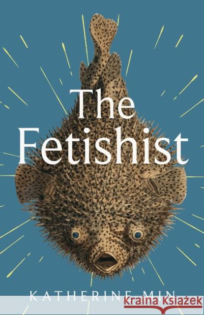 The Fetishist: a darkly comic tale of rage and revenge - 'Exceptionally funny, frequently sexy' Pandora Sykes Katherine Min 9780349727943 Little, Brown - książka