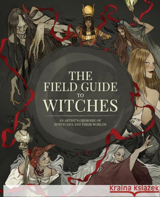 The Field Guide to Witches: An artist's grimoire of 20 witches and their worlds 3DTOTAL PUBLISHING 9781912843572 3DTotal Publishing Ltd - książka