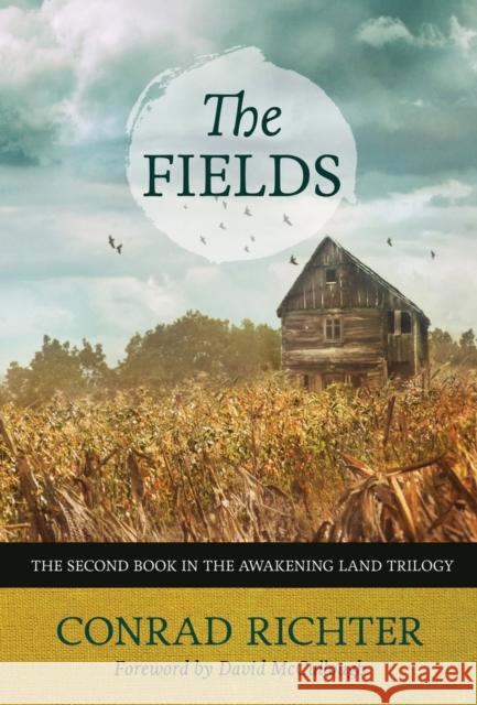 The Fields, 30 Richter, Conrad 9781613737422 Chicago Review Press - książka