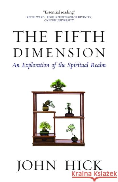 The Fifth Dimension: An Exploration of the Spiritual Realm John Hick 9781851689910 Oneworld Publications - książka