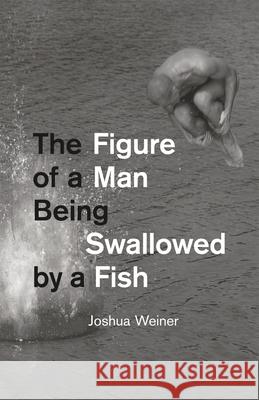 The Figure of a Man Being Swallowed by a Fish Joshua Weiner 9780226017013  - książka