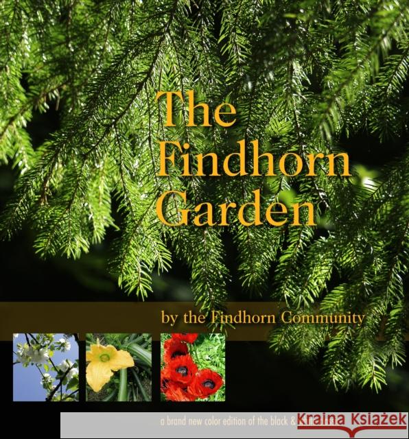 The Findhorn Garden Story The Findhorn Community 9781844091355 Findhorn Press - książka