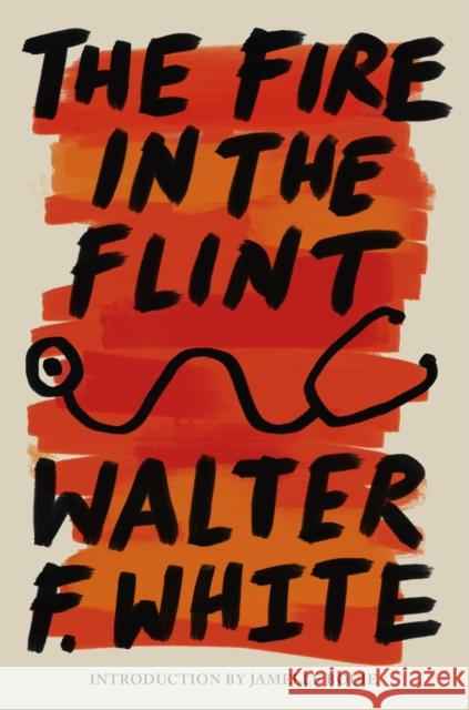 The Fire in the Flint Walter F. White 9781454957447 Union Square & Co. - książka