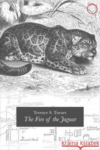 The Fire of the Jaguar Terence Turner 9780997367546 Hau - książka