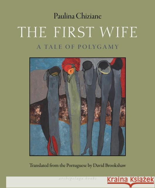 The First Wife: A Tale of Polygamy Paulina Chiziane David Brookshaw 9780914671480 Archipelago Books - książka