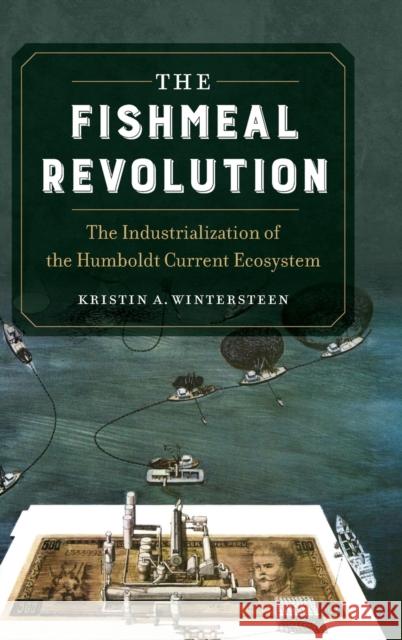 The Fishmeal Revolution: The Industrialization of the Humboldt Current Ecosystem Kristin A. Wintersteen 9780520379626 University of California Press - książka