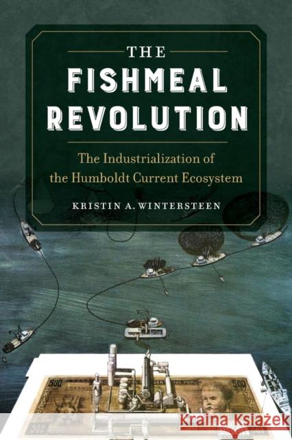 The Fishmeal Revolution: The Industrialization of the Humboldt Current Ecosystem Kristin A. Wintersteen 9780520379633 University of California Press - książka