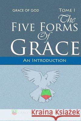 The Five Forms of Grace: An Introduction Abi Olowe 9781467981019 Createspace - książka