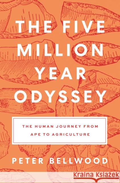 The Five-Million-Year Odyssey: The Human Journey from Ape to Agriculture Peter Bellwood 9780691258812 Princeton University Press - książka