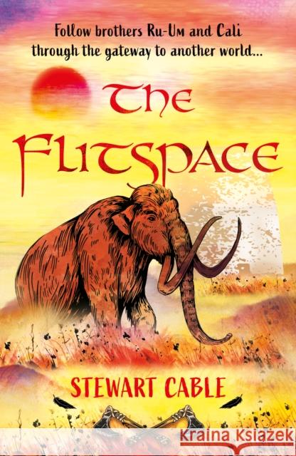 The Flitspace Stewart Cable 9781805142898 Troubador Publishing - książka