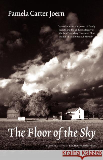 The Floor of the Sky Pamela Carter Joern 9780803276314 Bison Books - książka