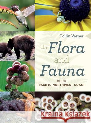 The Flora and Fauna of the Pacific Northwest Coast Collin Varner 9780295744643 University of Washington Press and Heritage H - książka