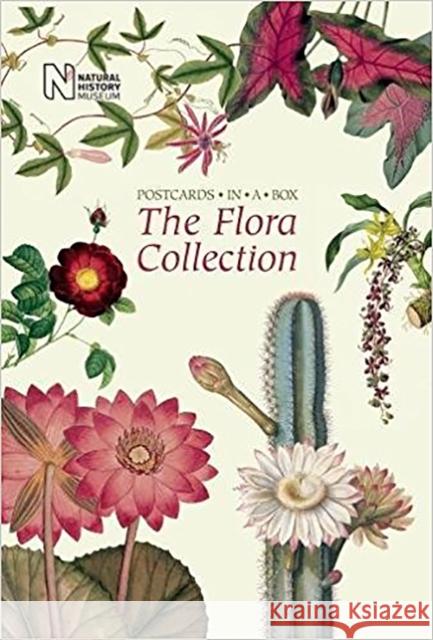 The Flora Collection: Postcards in a Box  9780565094409 The Natural History Museum - książka