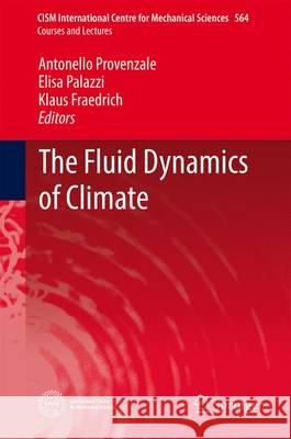 The Fluid Dynamics of Climate Antonello Provenzale Elisa Palazzi Klaus Fraedrich 9783709118917 Springer - książka