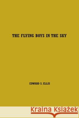 The Flying Boys in the Sky: Volume One Edward Ellis 9781774816479 Paper and Pen - książka