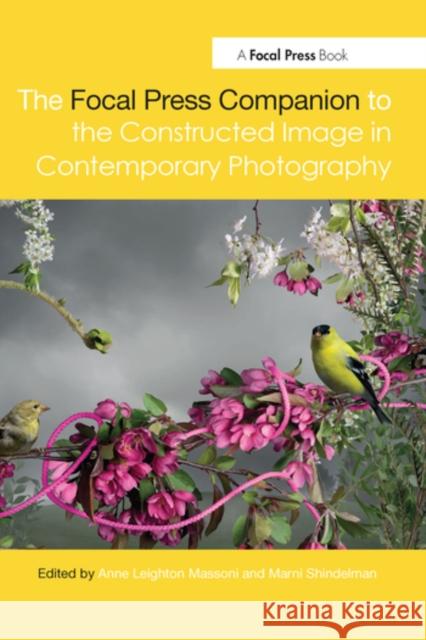 The Focal Press Companion to the Constructed Image in Contemporary Photography Marni Shindelman Anne Massoni 9780367580537 Routledge - książka