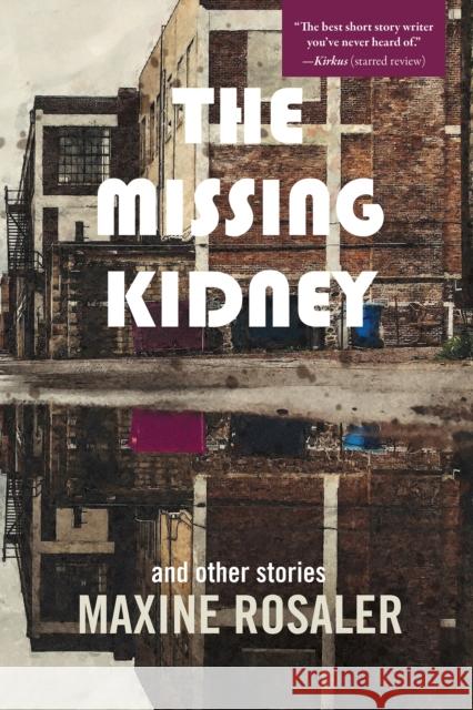 The Fogman and Other Stories: And Other Stories Maxine Rosaler 9781953002556 Delphinium Books - książka