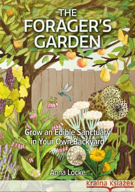 The Forager's Garden Anna Locke 9781856233071 Permanent Publications - książka