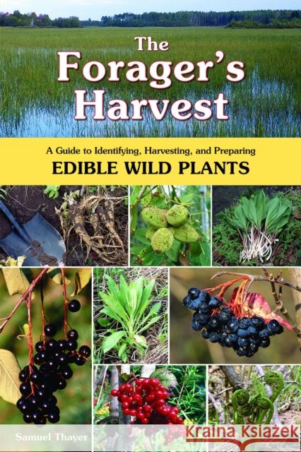 The Forager's Harvest: A Guide to Identifying, Harvesting, and Preparing Edible Wild Plants Samuel Thayer 9780976626602 Forager's Harvest - książka