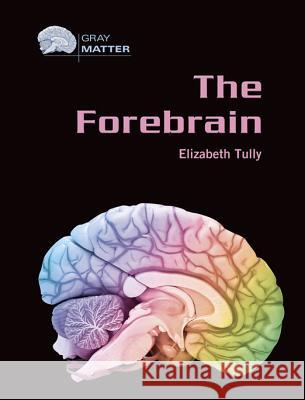 The Forebrain Elizabeth Tully 9780791085097 Chelsea House Publications - książka