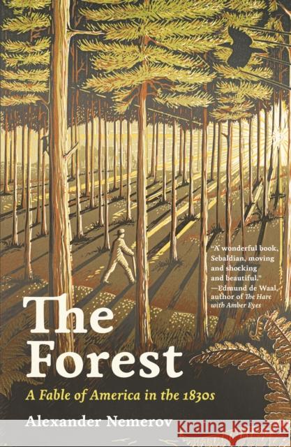 The Forest: A Fable of America in the 1830s Alexander Nemerov 9780691244280 Princeton University Press - książka