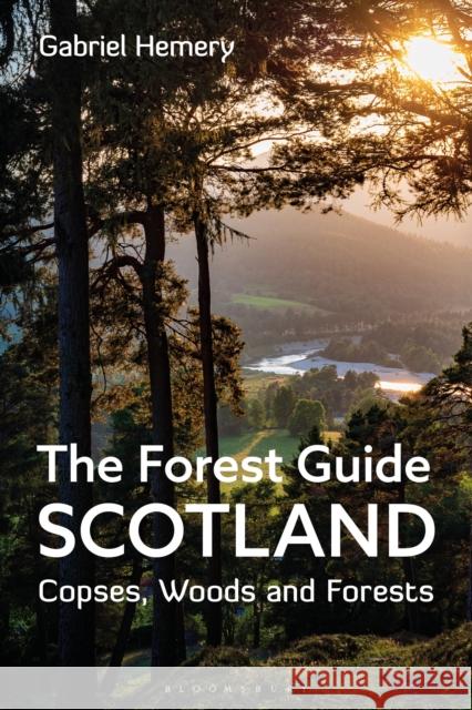 The Forest Guide: Scotland: Copses, Woods and Forests of Scotland Gabriel Hemery 9781472994646 Bloomsbury Publishing PLC - książka