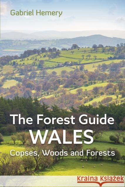 The Forest Guide: Wales: Copses, Woods and Forests of Wales Gabriel Hemery 9781399409124 Bloomsbury Wildlife - książka