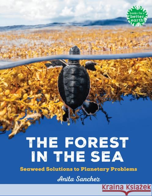 The Forest in the Sea: Seaweed Solutions to Planetary Problems Anita Sanchez 9780823458769 Holiday House - książka