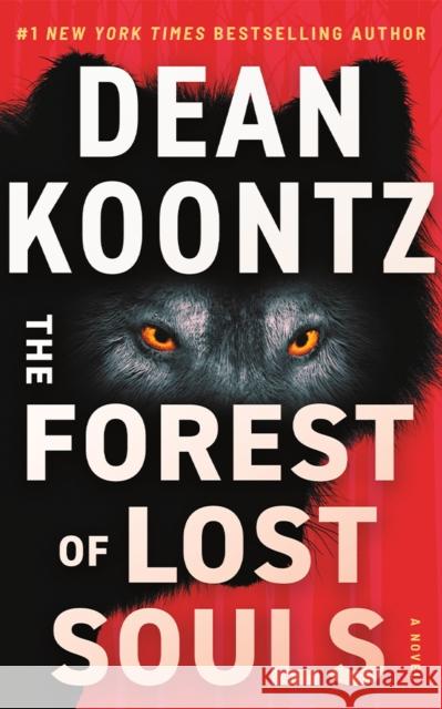 The Forest of Lost Souls: A Novel Dean Koontz 9781662517785 Amazon Publishing - książka