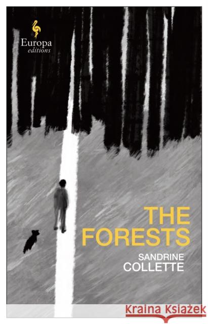 The Forests Sandrine Collette 9781787703605 Europa Editions (UK) Ltd - książka