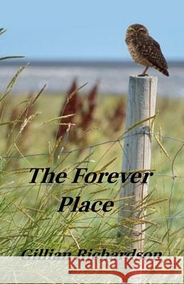 The Forever Place Gillian Richardson 9781777287290 Gillian Richardson - książka