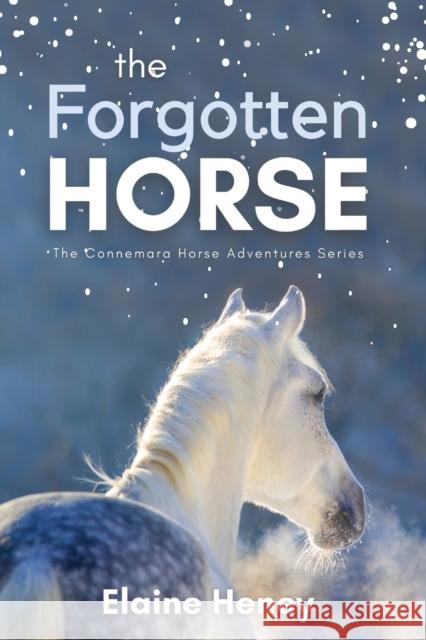 The Forgotten Horse - Book 1 in the Connemara Horse Adventure Series for Kids. The perfect gift for children age 8-12. Elaine Heney 9780955265341 Elaine Heney - książka