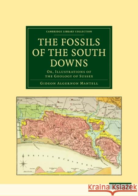 The Fossils of the South Downs: Or, Illustrations of the Geology of Sussex Mantell, Gideon Algernon 9781108021098 Cambridge University Press - książka