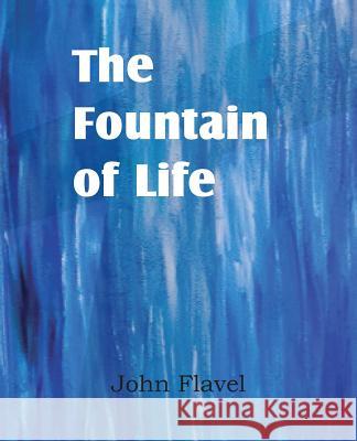 The Fountain of Life John Flavel 9781612038148 Bottom of the Hill Publishing - książka