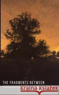 The Fragments Between: A Collection of Poetry and Photography Glenn Sealey 9781730973314 Independently Published - książka