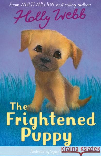 The Frightened Puppy Holly Webb 9781788953887 Little Tiger Press Group - książka