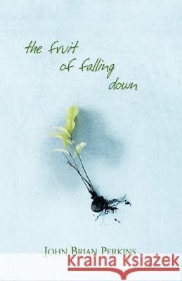 The Fruit of Falling Down John Brian Perkins 9781413434903 XLIBRIS CORPORATION - książka