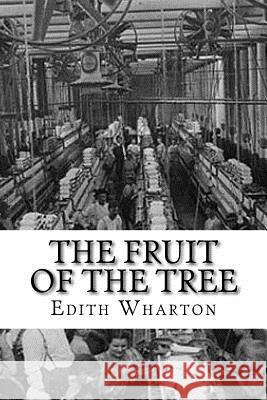 The Fruit of the Tree Edith Wharton Edibooks 9781534986978 Createspace Independent Publishing Platform - książka