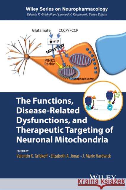 The Functions, Disease-Related Dysfunctions, and Therapeutic Targeting of Neuronal Mitochondria J. Marie Hardwick Valentin K. Gribkoff Elizabeth A. Jonas 9781118709238 Wiley - książka