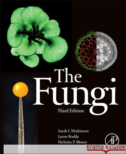 The Fungi Watkinson, Sarah C. Money, Nicholas Boddy, Lynne 9780123820341 Elsevier Science - książka