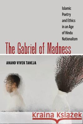 The Gabriel of Madness Anand Vivek Taneja 9780520422797 University of California Press - książka