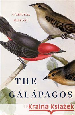 The Galapagos: A Natural History Henry Nicholls 9780465035977 Basic Books (AZ) - książka