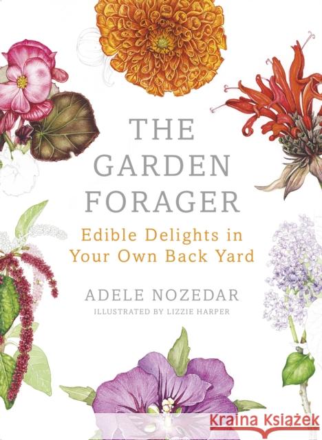 The Garden Forager: Edible Delights in your Own Back Yard Adele Nozedar 9780224098892 Vintage Publishing - książka