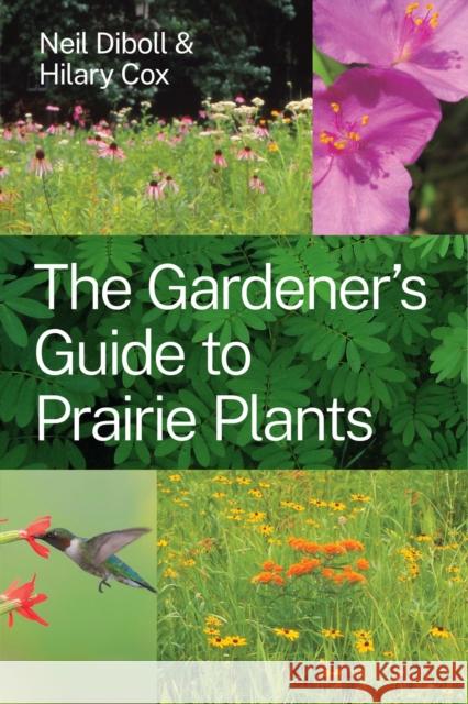 The Gardener's Guide to Prairie Plants Hilary Cox 9780226805931 The University of Chicago Press - książka