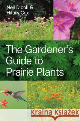 The Gardener's Guide to Prairie Plants Hilary Cox 9780226805931 The University of Chicago Press - książka