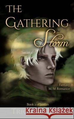 The Gathering Storm: Fantasy M/M Romance Tricia Owens 9781092177894 Independently Published - książka
