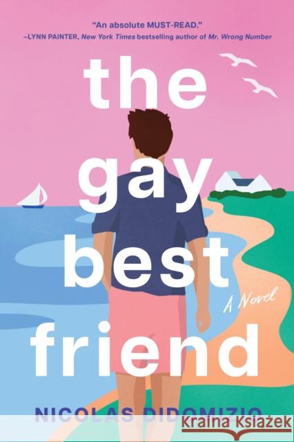 The Gay Best Friend Nicolas DiDomizio 9781728281827 Sourcebooks, Inc - książka