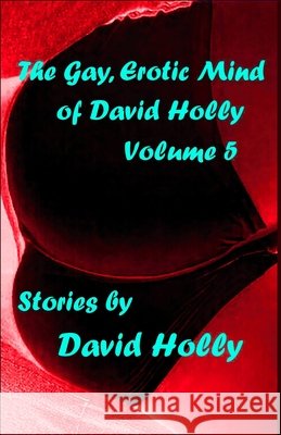 The Gay, Erotic Mind of David Holly, Volume 5 David Holly   9798554305382 Independently Published - książka