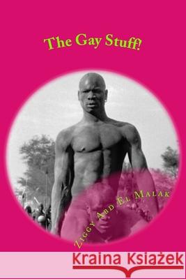 The Gay Stuff! Ziggy Ab 9781530293452 Createspace Independent Publishing Platform - książka